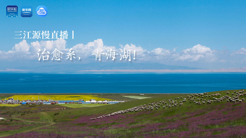 三江源慢直播丨治愈系，青海湖！