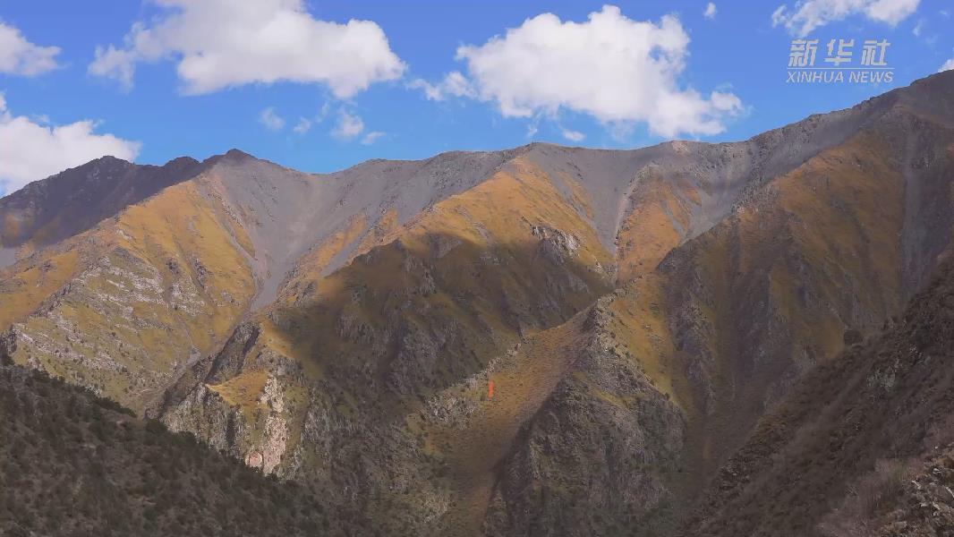 4362張照片！他們在這里堅持10年開展雪豹種群動態(tài)研究